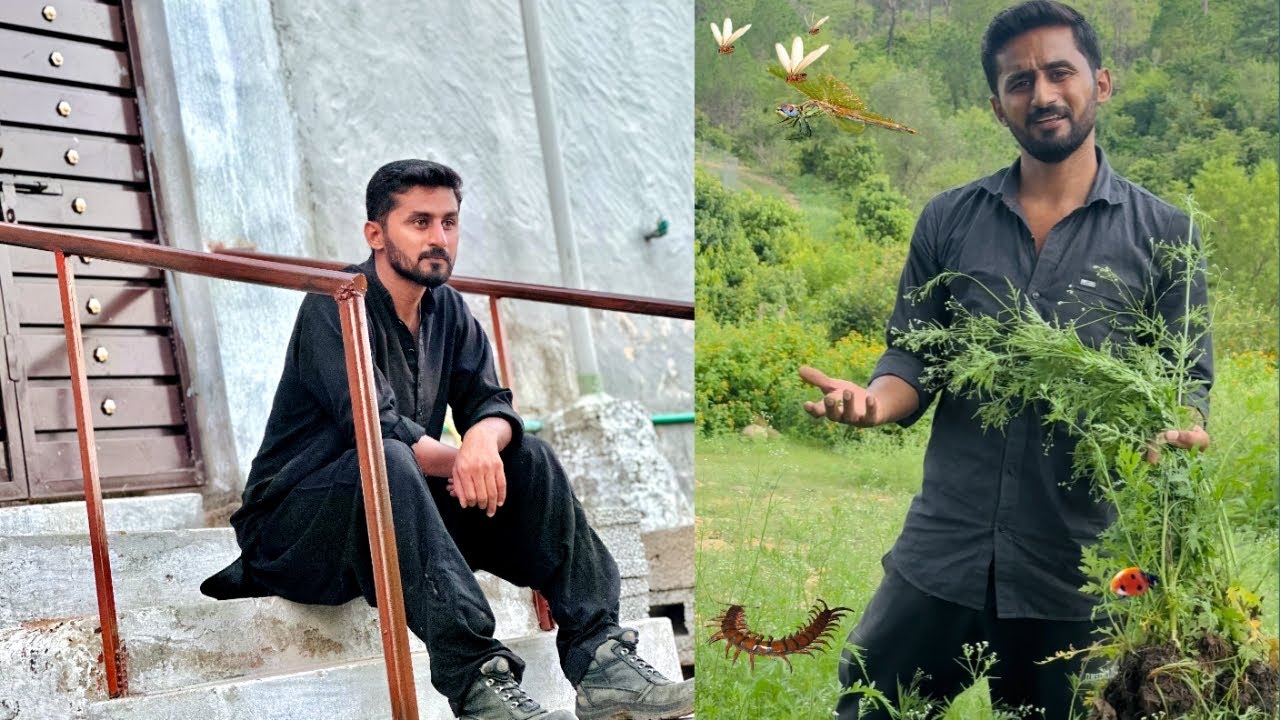 Sawan in Village 🌧️🥵🪲