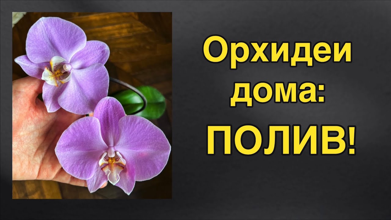 Полив в любой системе - быстро и просто!🔥🔥🔥