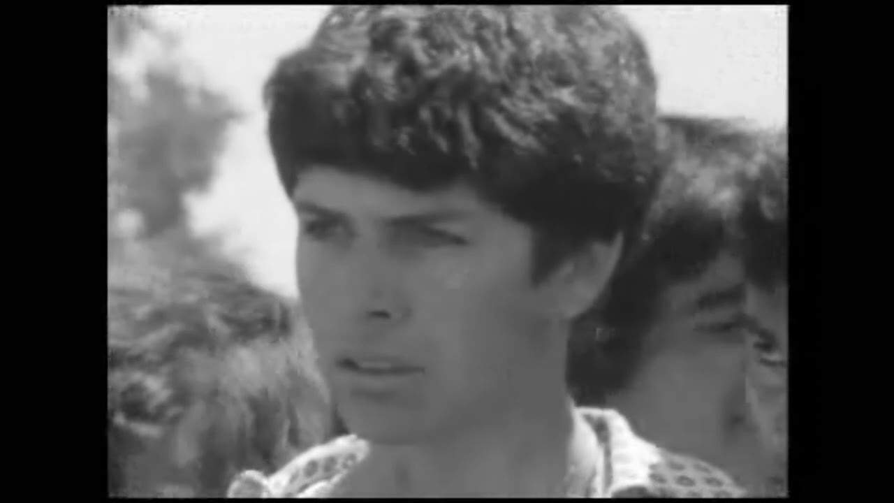 Intento de copamiento al Batallón 601 Domingo Viejobueno - Monte Chingolo - 24 12 1975 AR TVP