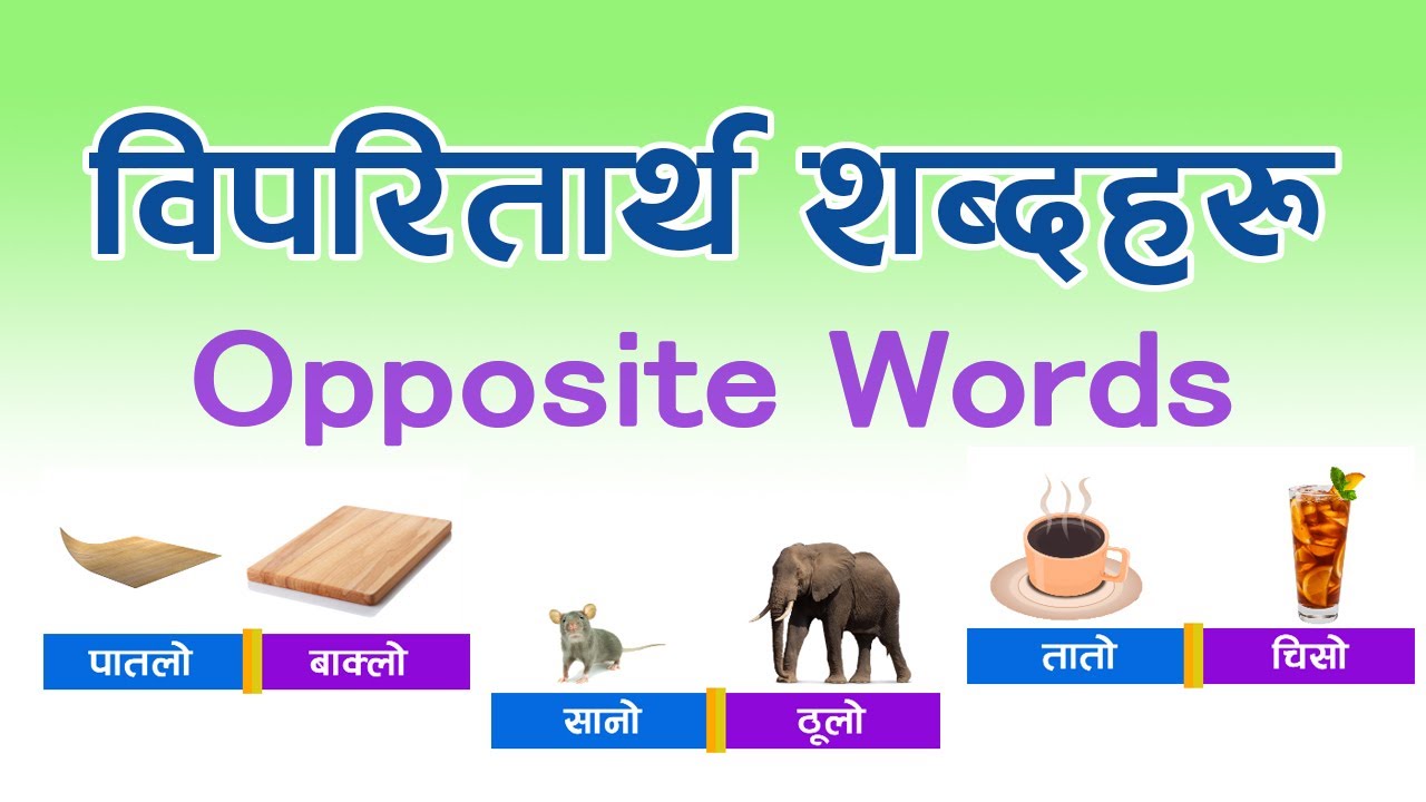 विपरीतार्थ शब्द | Opposite Word in Nepali