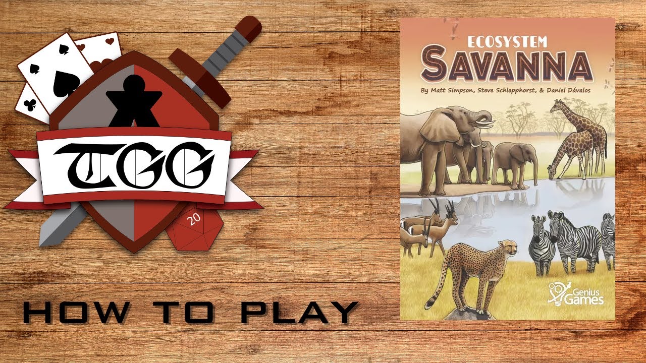 How to Play Ecosystem Savanna Card Game