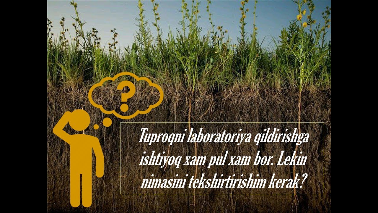 Tuproqni laboratoriya qildirishga pul xam ishtiyoq xam bor  faqat nimasini tekshirtiray?