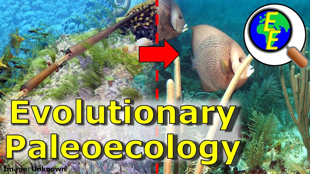 Evolutionary Paleoecology: Ecosystems over Time