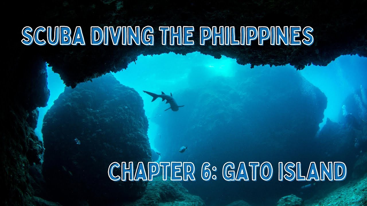 Scuba Diving The Philippines - Gato Island #malapascua #gatoisland #scubadiving