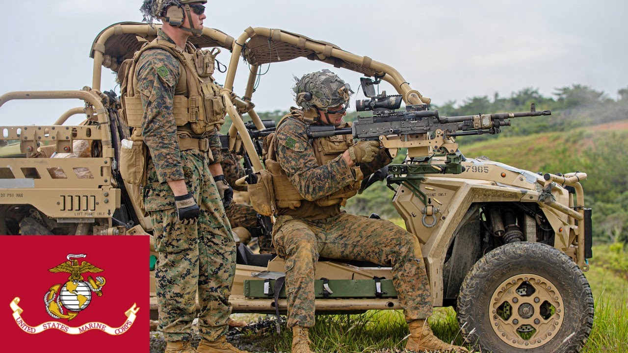 Морпехи США. Вождение UTV и мощные пулеметы M240B на полигоне в Японии.
