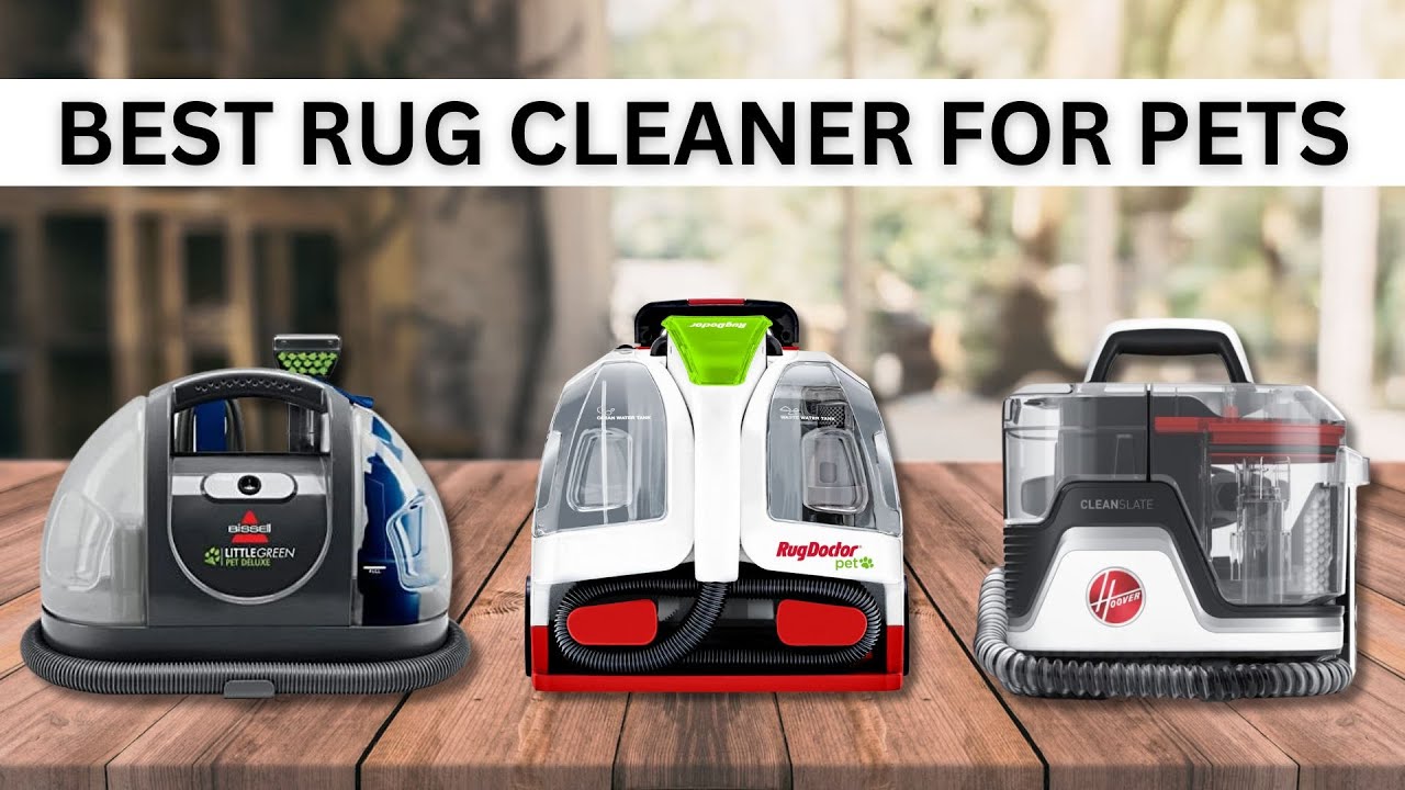 Top 5 Best Rug Cleaner For Pets In 2024