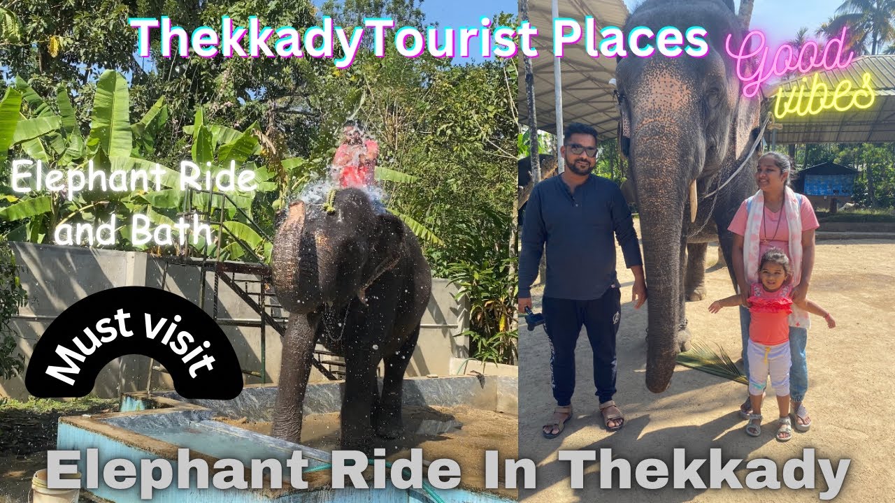 Elephant Safari In Thekkady|Elephant Bath|Kerala Tour|Thekkady Toutist Places|Vlog-20|Ep-5|