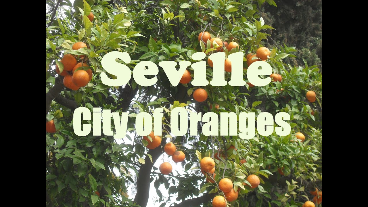 Seville, City of Oranges
