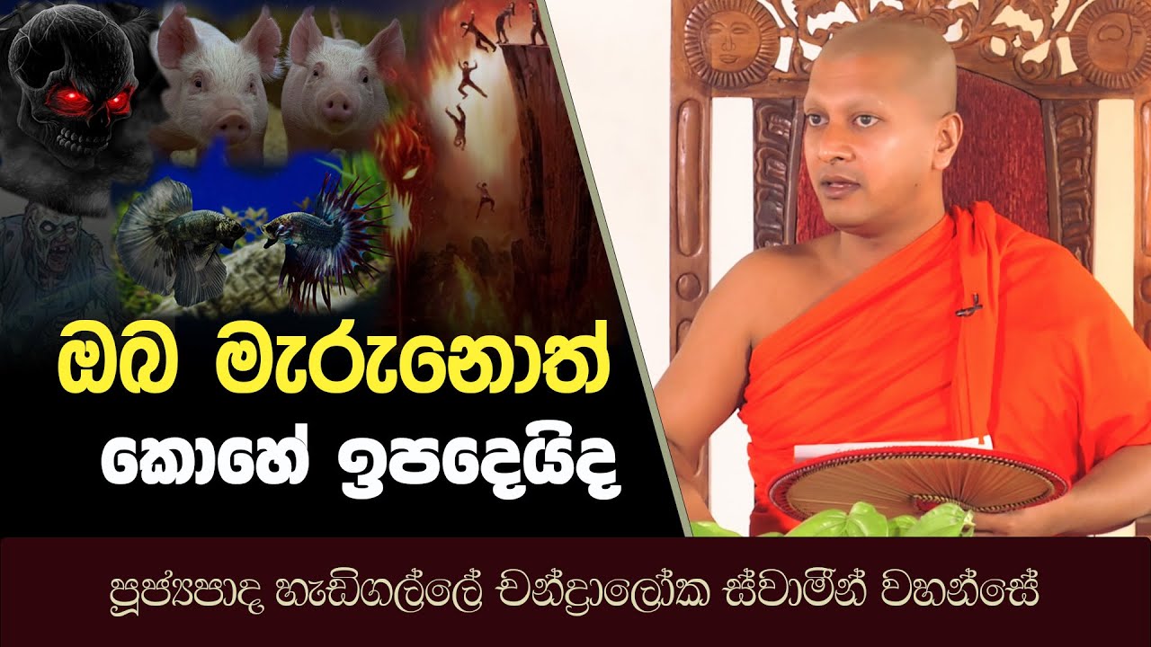 ඔබ මැරුනොත් කොහේ ඉපදෙයිද | Hadigalle Chandraloka Thero