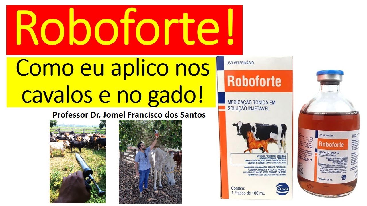 Como Aplicar Roboforte Em Cavalos E Em Bovinos?