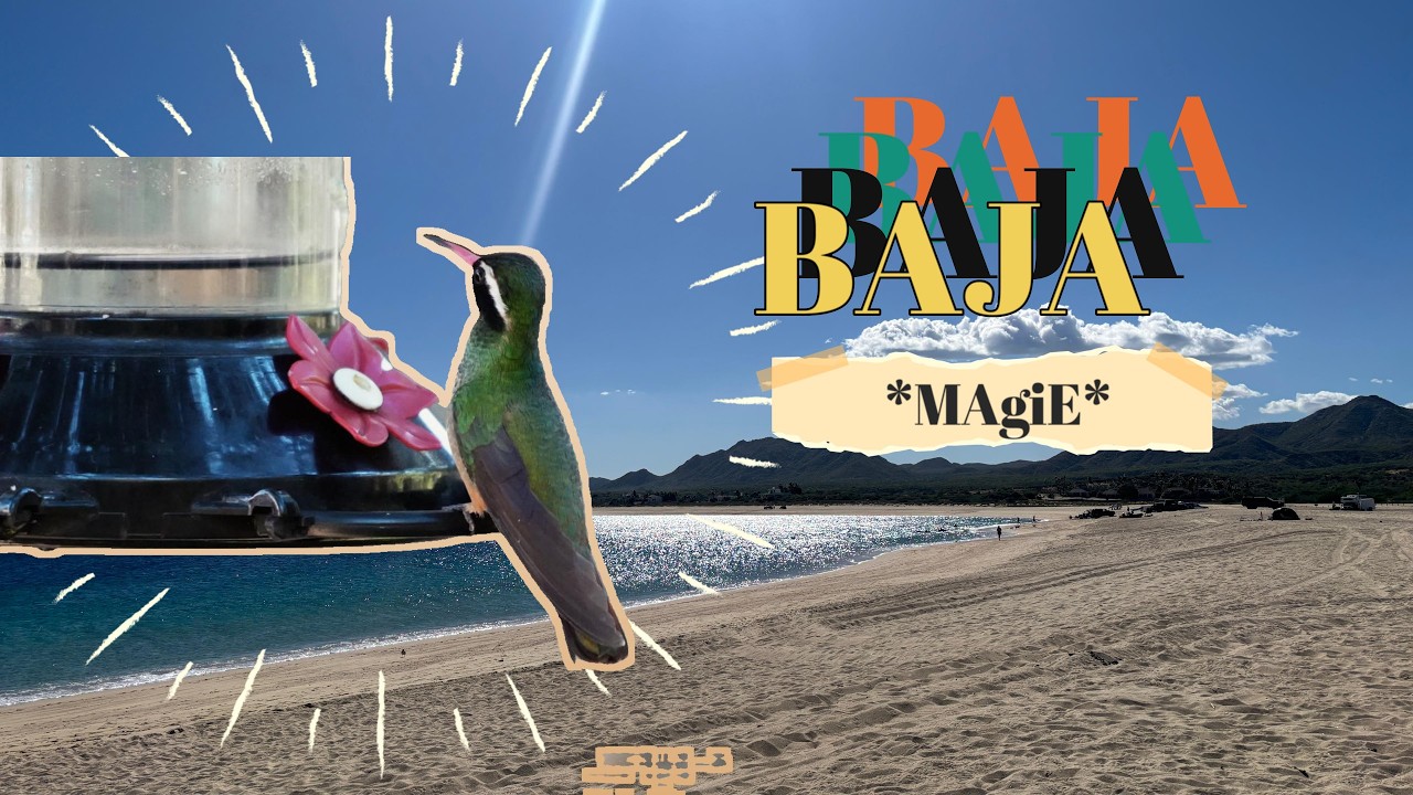 Nouvel An dans un ranch de la Baja & magie à Los Frailes