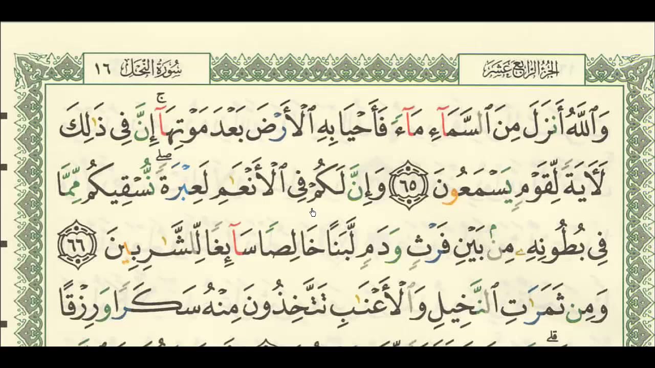 شرح + تفسير - لسورة النحل من آية ( ٦٥ ) إلى آية ( ٧٢ ) - للشيخ : فهد العمار .