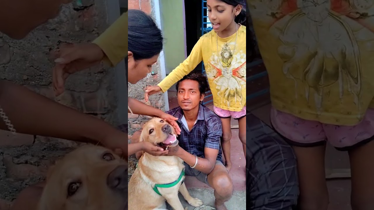 ছেরে চলে যাবে বলে এত মায়া বাড়িয়ে দেয়।।।।।। সারা জীবনের মতো হারিয়ে গেলো।।।।।।। 