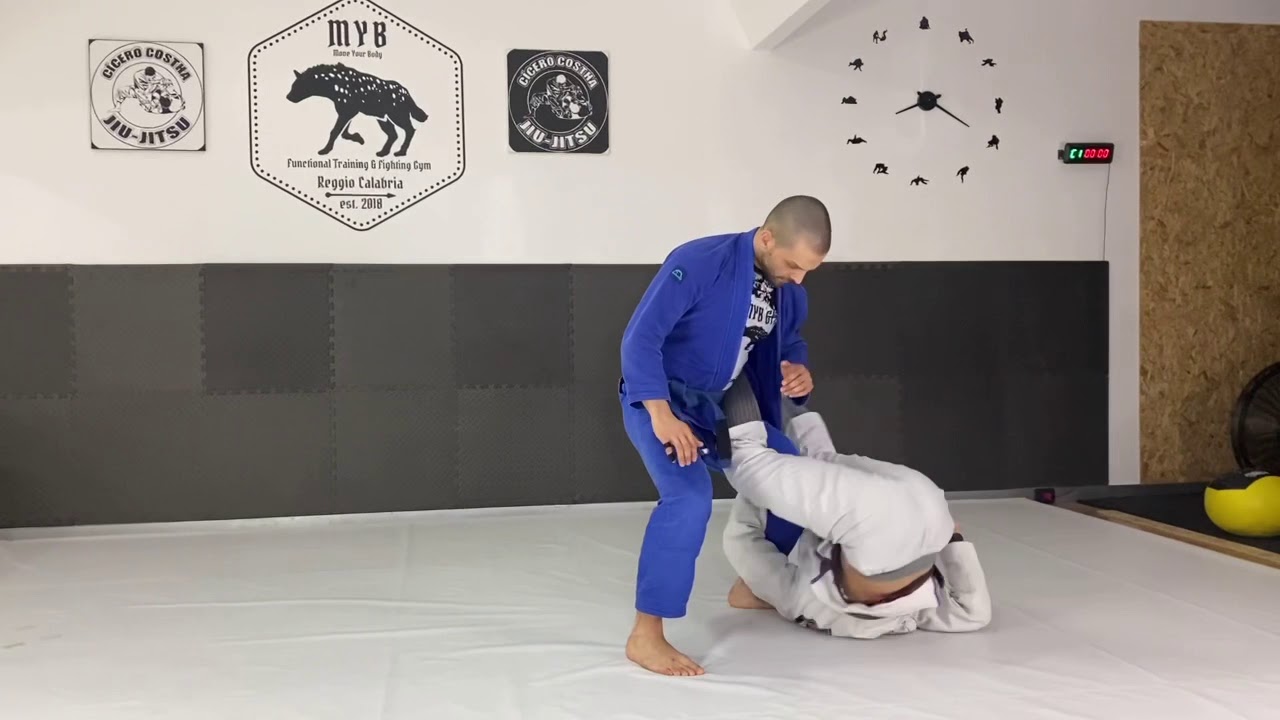 Squid Guard Sweeps