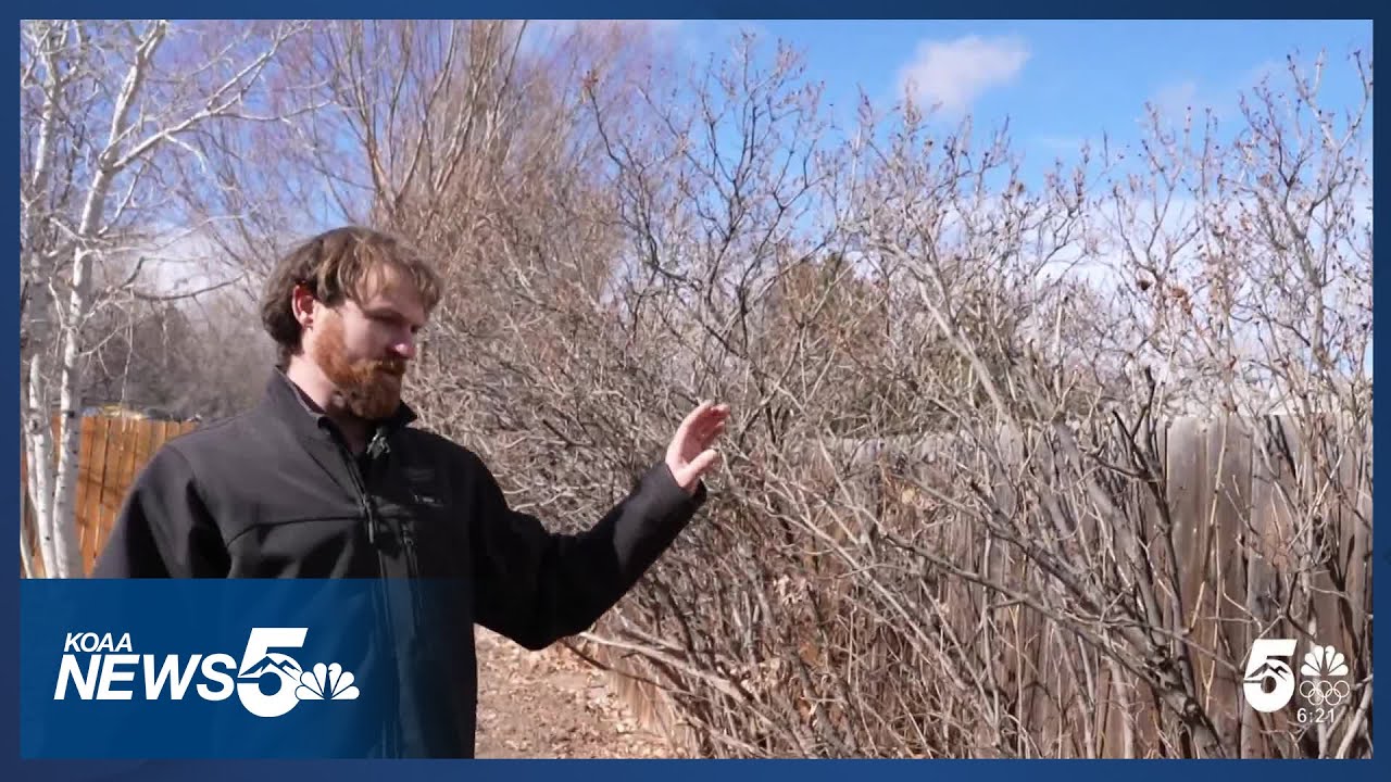 Fiber work raises communication, safety concerns for Colorado Springs man