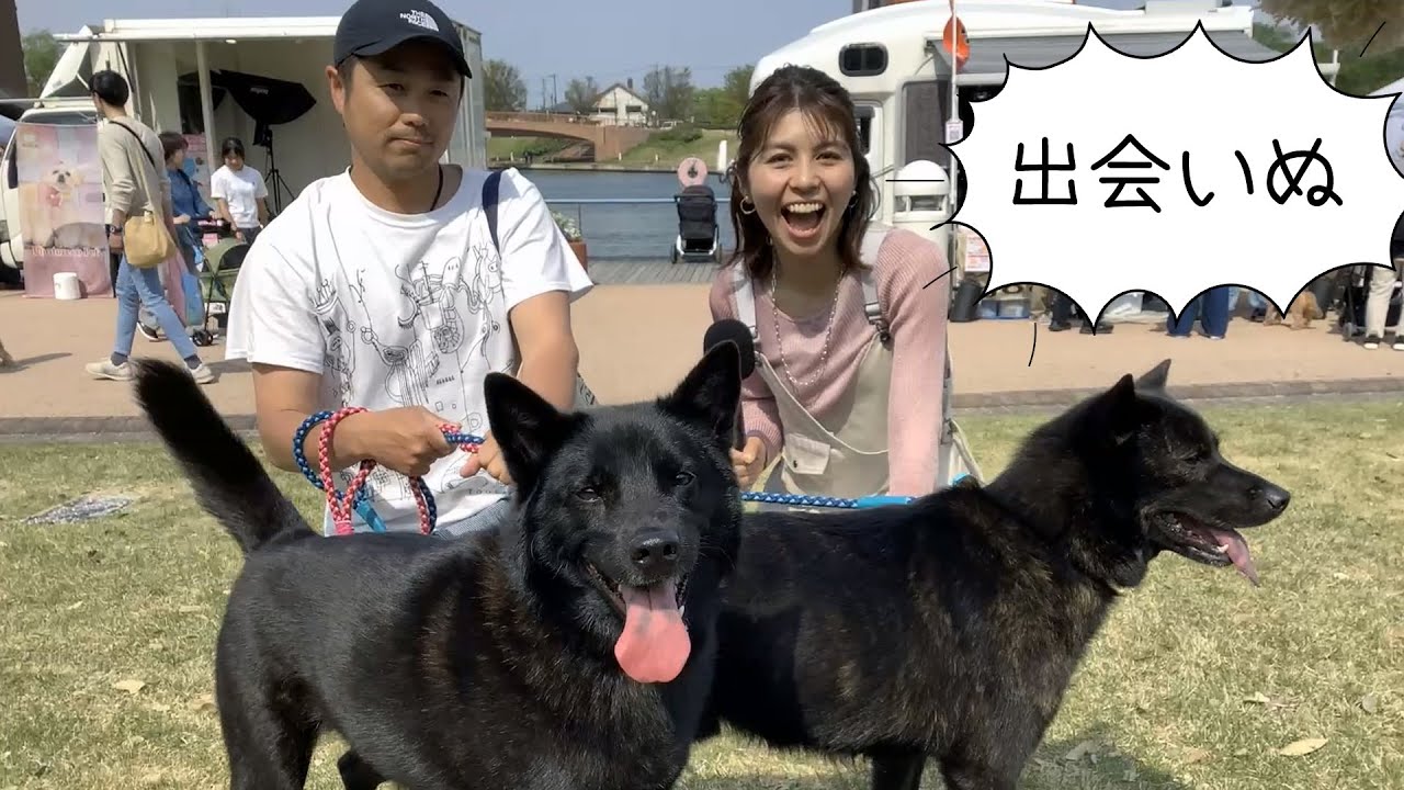 【出会いぬ】富山のタレントに犬がらみの仕事を発注