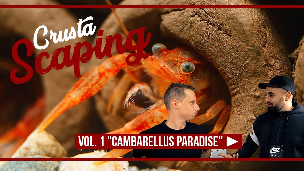 Crustascaping Vol. 1 - 