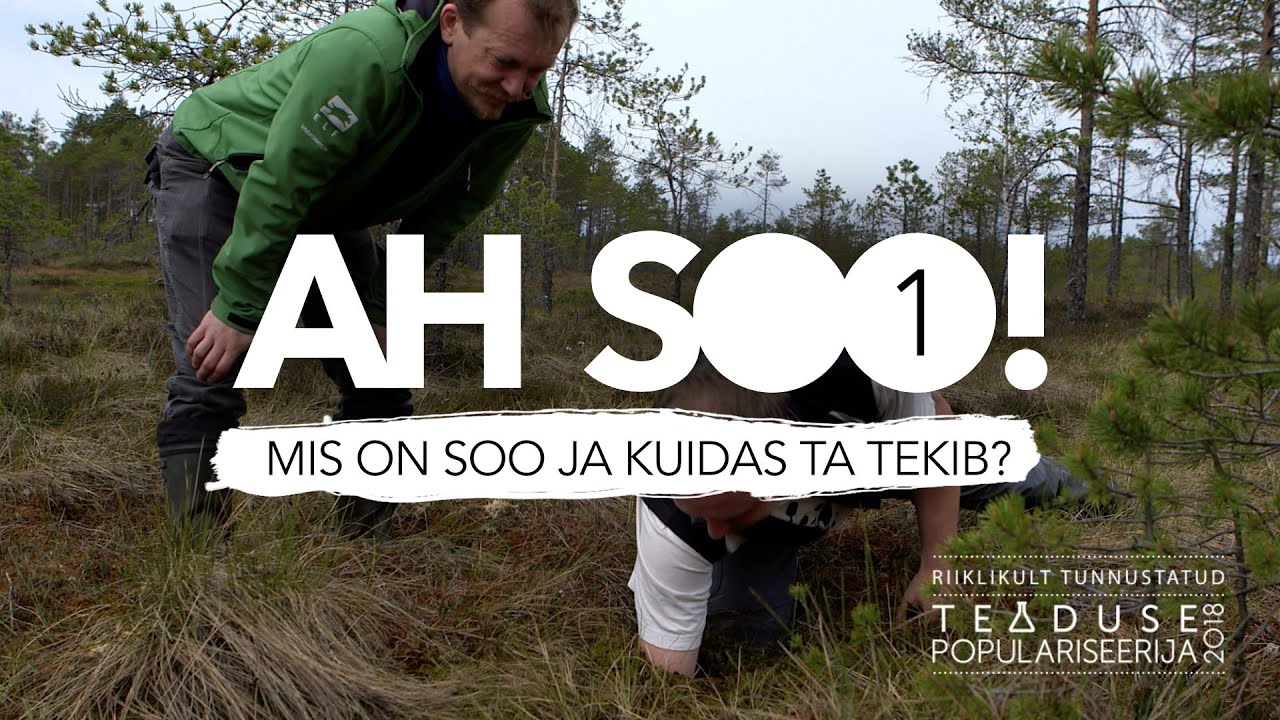1. Mis on soo ja kuidas ta tekib?