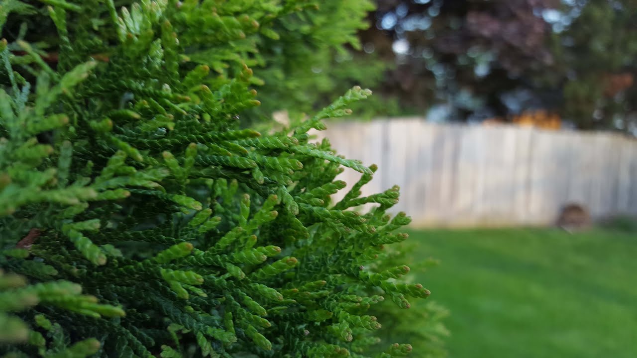 Galaxy S6 4K Camera Test!