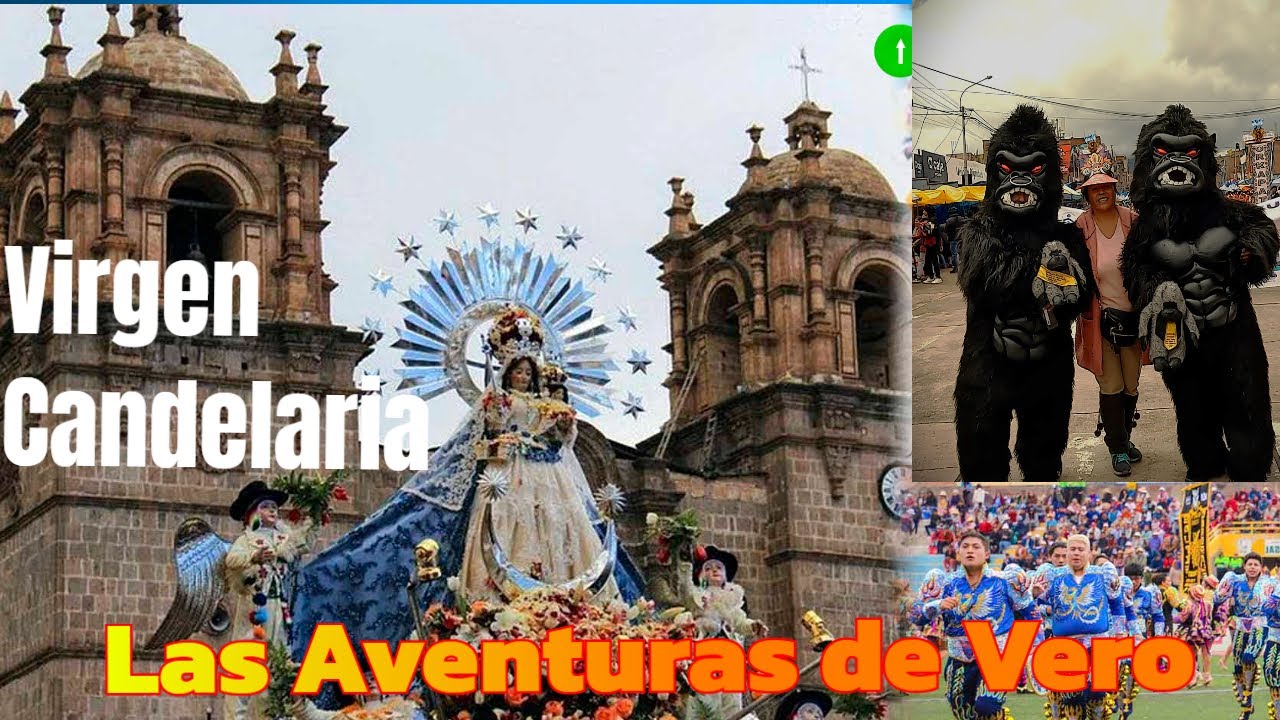 VIVELO CONMIGO LA FIESTA DE LA CANDELARIA @jardineandoconvero.