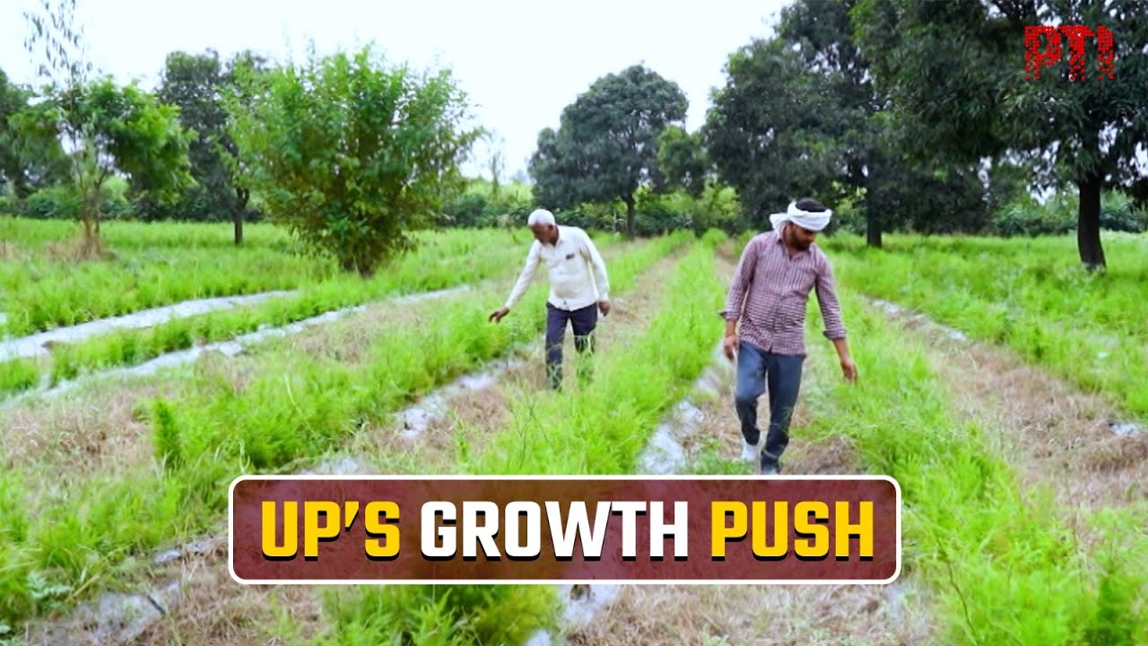 UP transformation: Gains in law, investment and welfare delivery