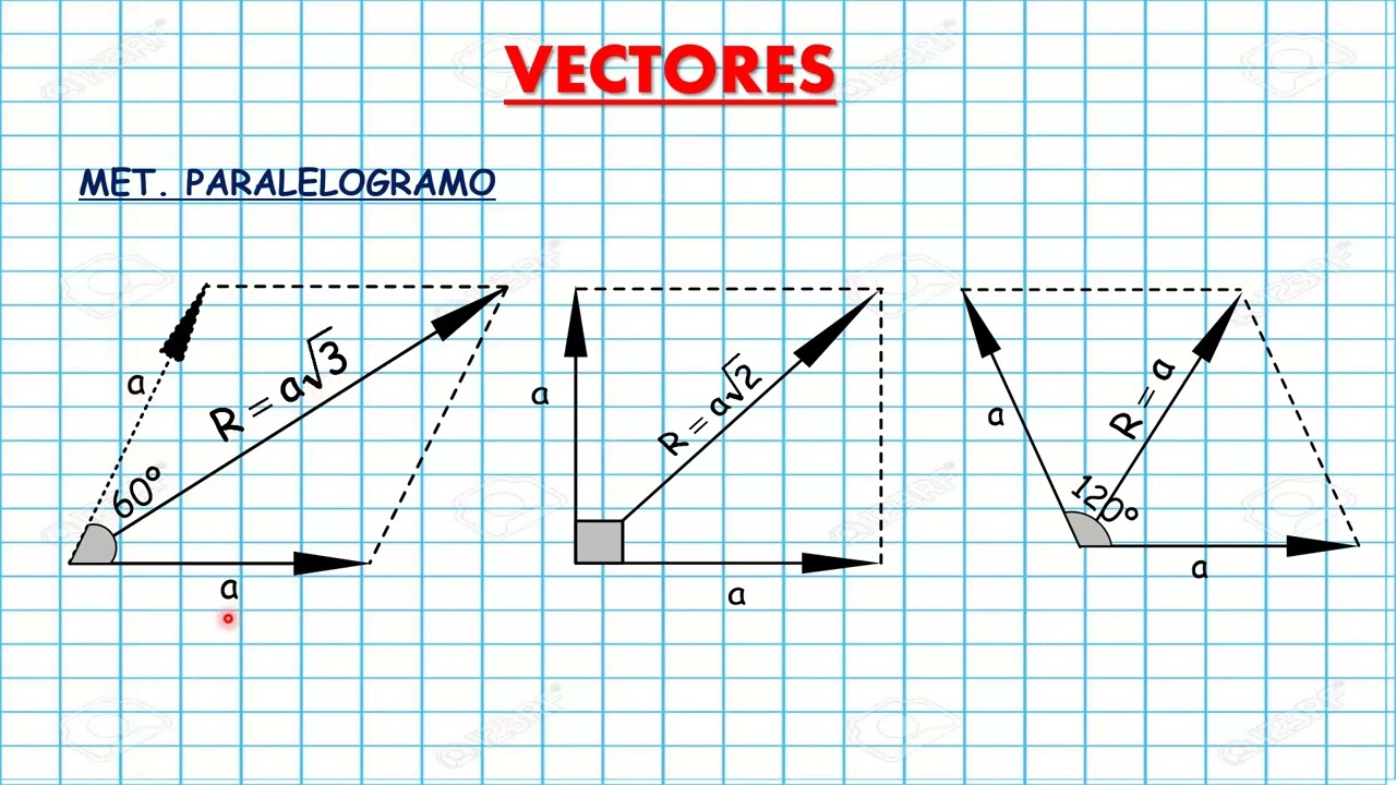 FISICA VERCTORES 12 01 2026