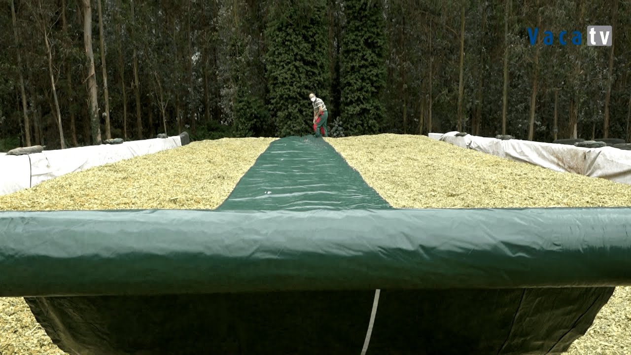 All-In-One Silage Sheet - OXY SEAL™ - On Spanish Silage Clamp