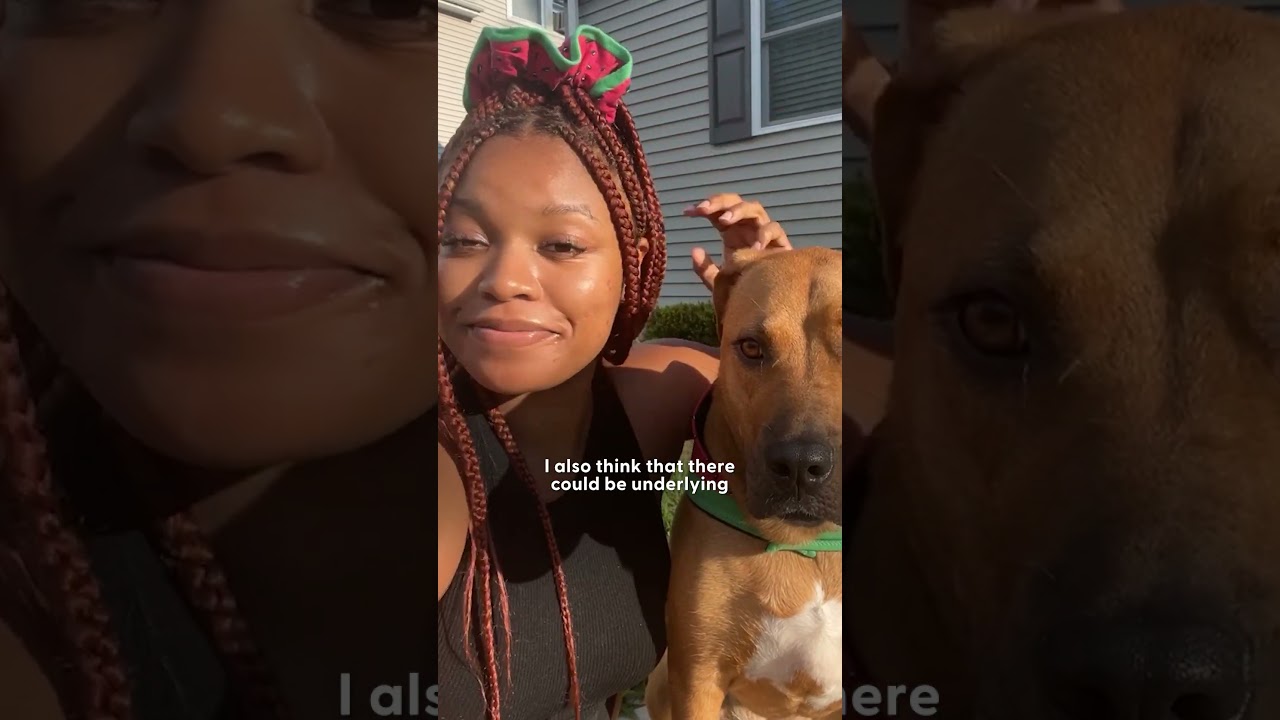 Pit Bull Mom Explains: What Do Dogs Have To Do With Race? | The Dodo