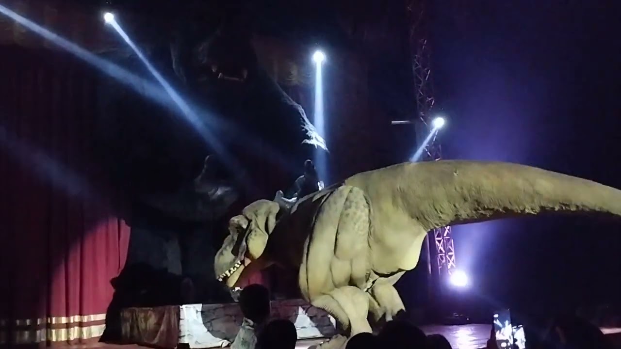 Estrelinha no Circo #7