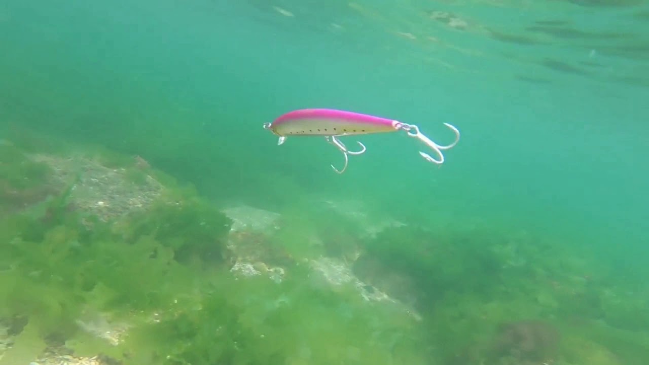 Episode 46: Trulinoya DW15 Floating Minnow 120mm/18G In Action