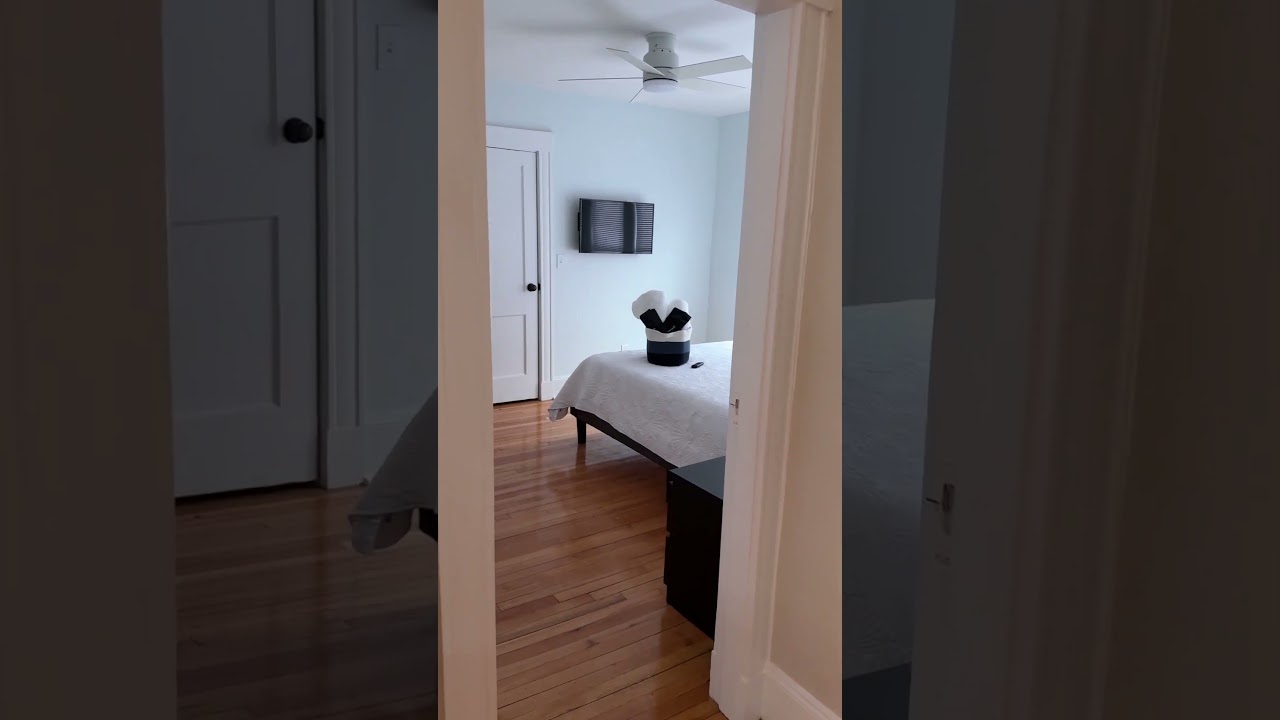 Bright & Spacious Boston Video Walkthrough