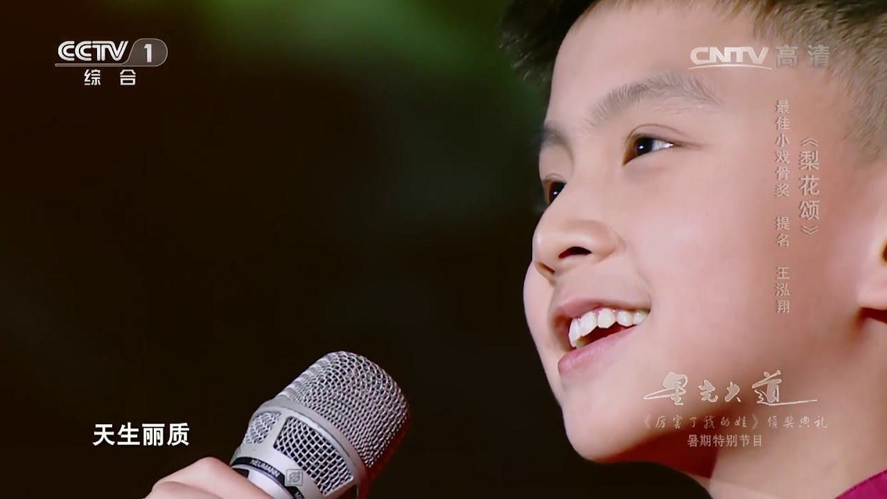 [星光大道]《梨花颂》 演唱：王泓翔 | CCTV