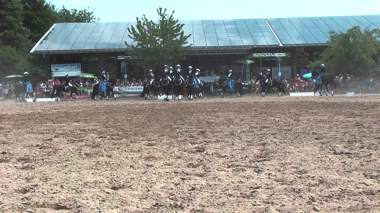 Schwarze Perlen Kranichstein Heppenheim 2015