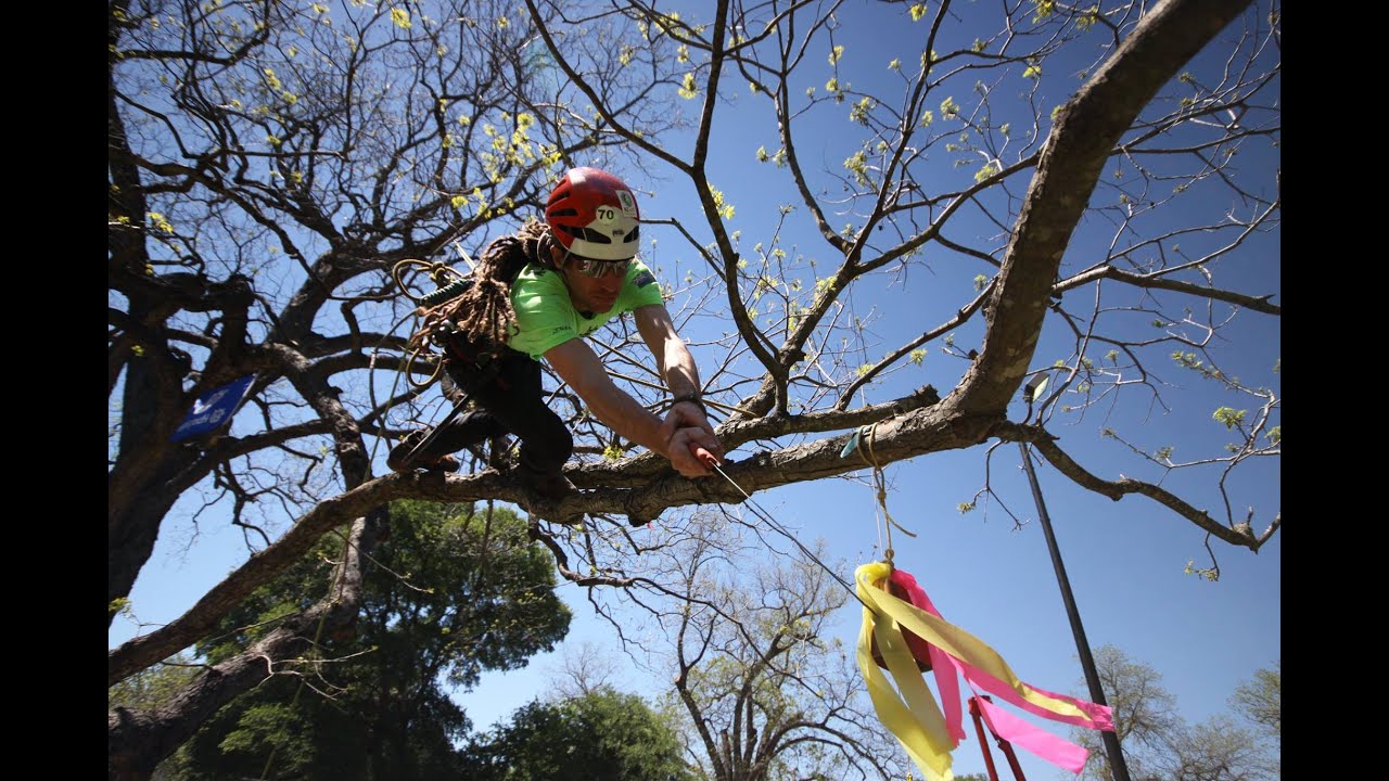2016 World Tree Climbing Championship Final; James Kilpatrick ITCC Masters