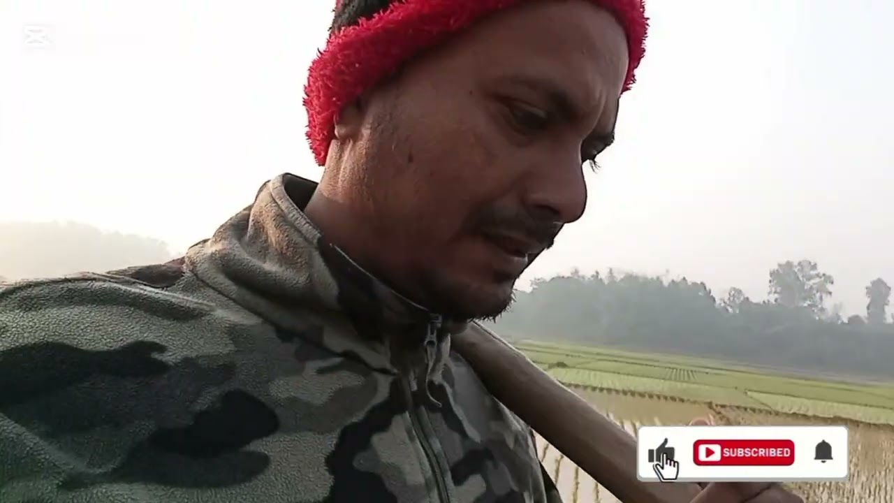 জমি রুপনের পর দেখতে চলে আসলাম পানি আছে কিনা 