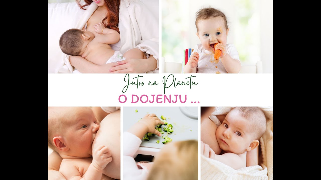 Jutro na Planetu: o dojenju  + uvajanje goste hrane