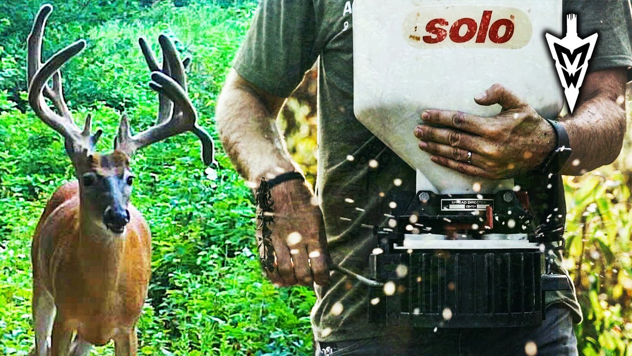 Poor Man Food Plots On Permission, Targets Acquired | Midwest Whitetail