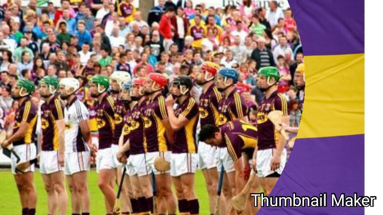 Wexford v Cork 2016 SHC
