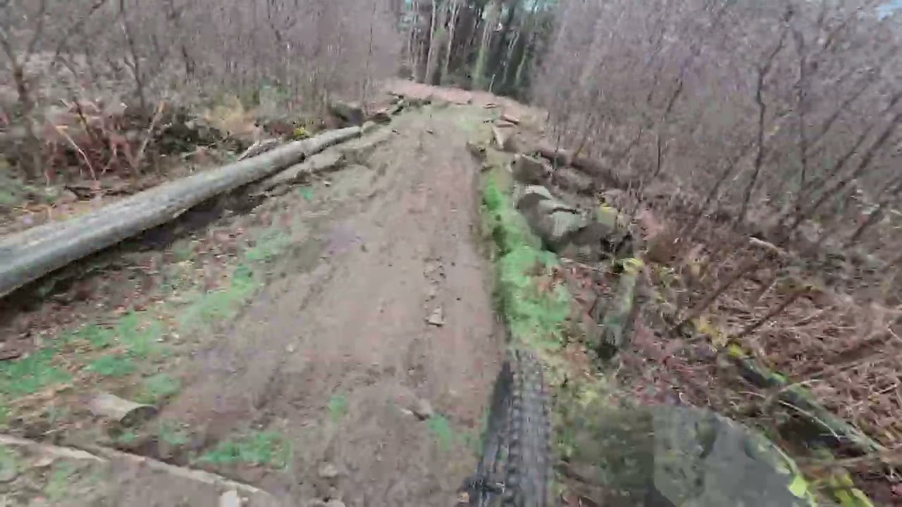 Cwmcarn Busy Lizzy 230226 @adambaverstock4557