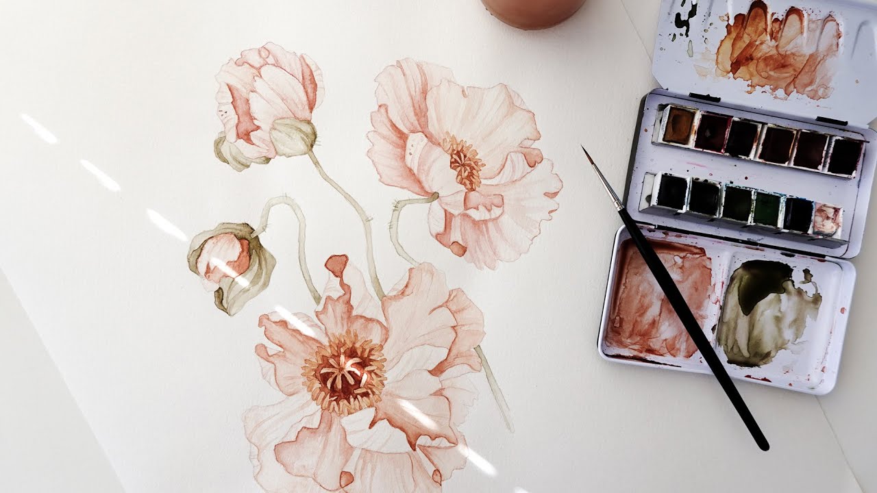 Watercolor painting of Icelandic Poppies by Angele Kamp