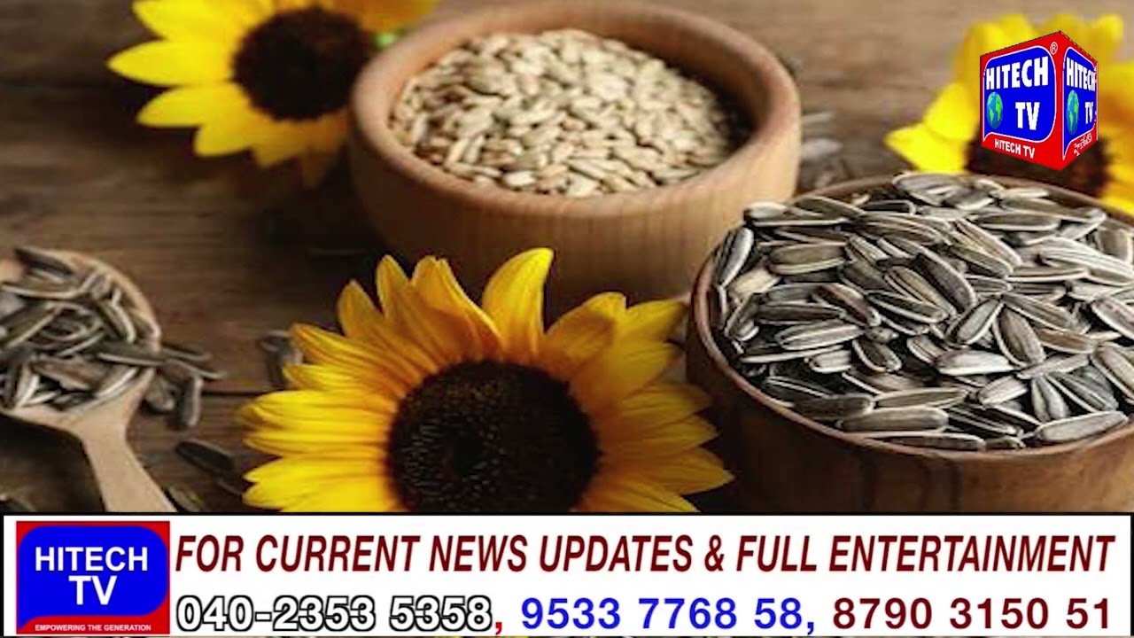 Health Benefits Of Eating Sunflower Seeds | Hitech TV News India | 17-03-2026 |