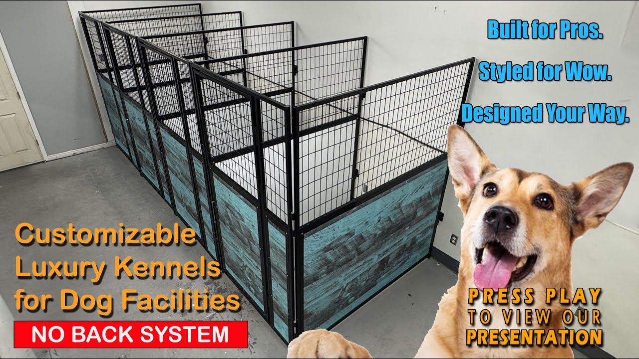 Customizable Luxury Kennels for Dog Facilities | No Back System by K9 Kennel Store