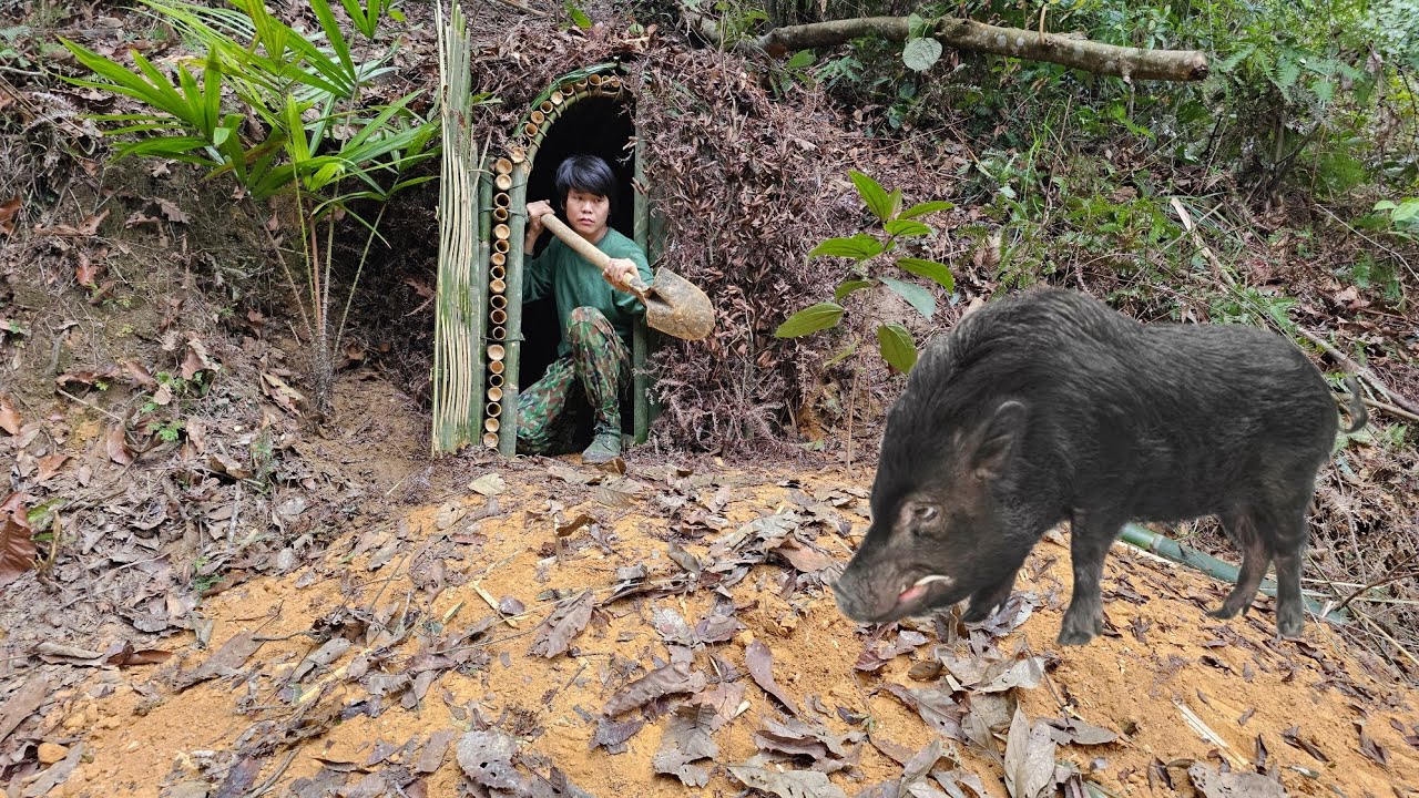2 days Get lost in a wild boar shelter, flee from wild boar attacks, build an underground shelter