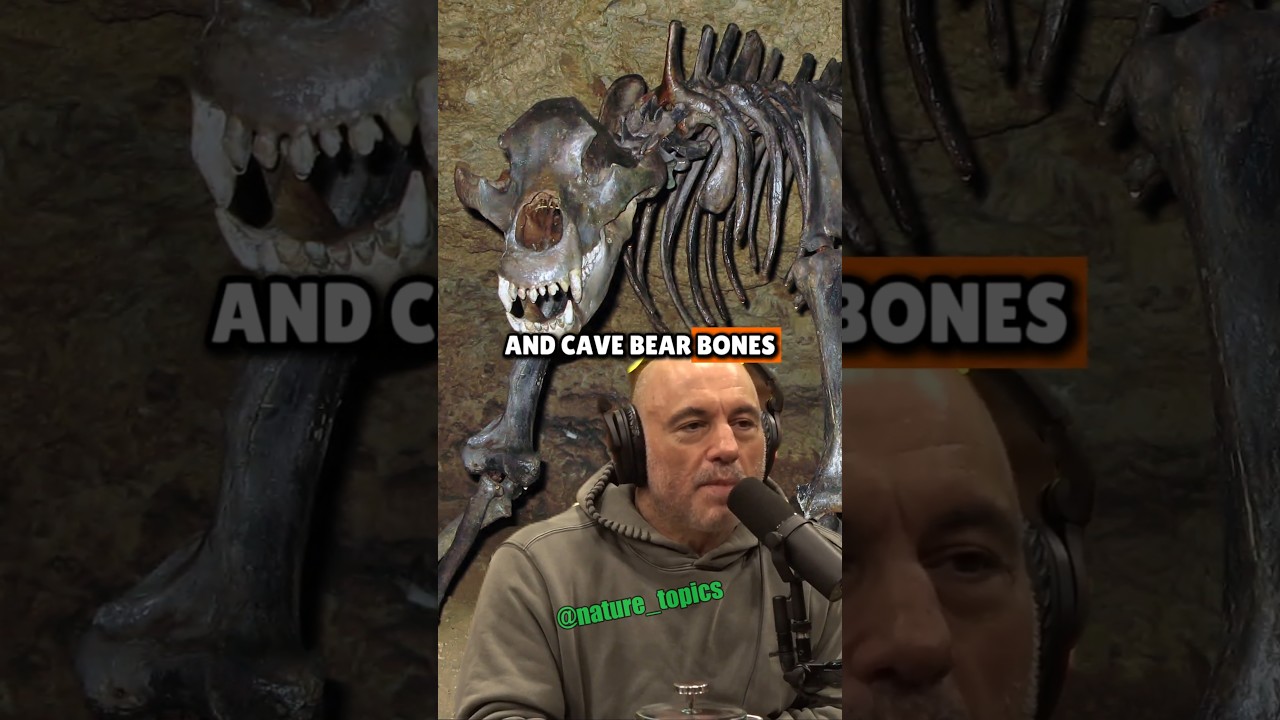 The Mysterious Mammoth Bone Graveyard | Joe Rogan & John Reeves