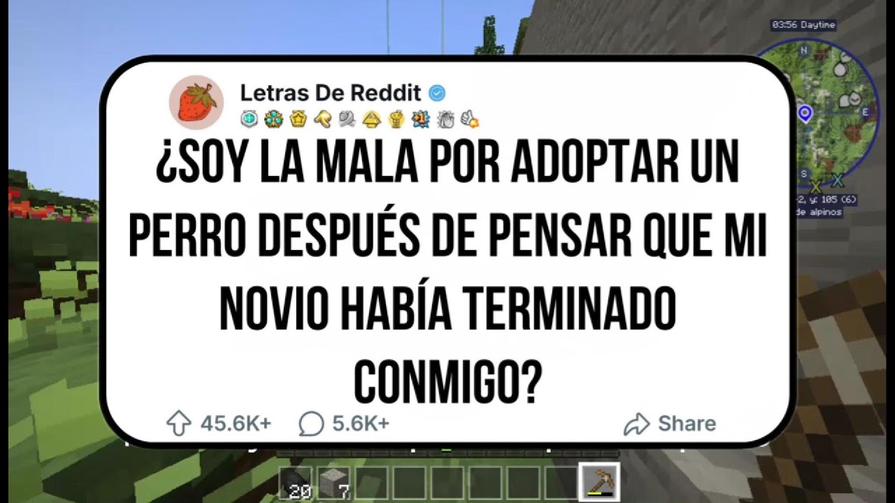 SOY LA MALA POR ADOPTAR A UN PERRO CUANDO MI NOVIO ME CORTÓ PERO AHORA QUIERE VOLVER Y ES ALERGICO