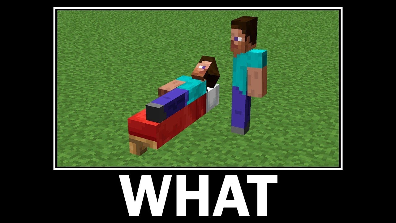 WAIT WHAT 