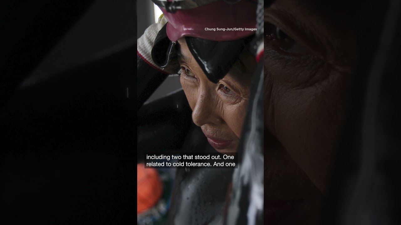 The all-female free divers of Jeju Island have a 'superpower' in their genes