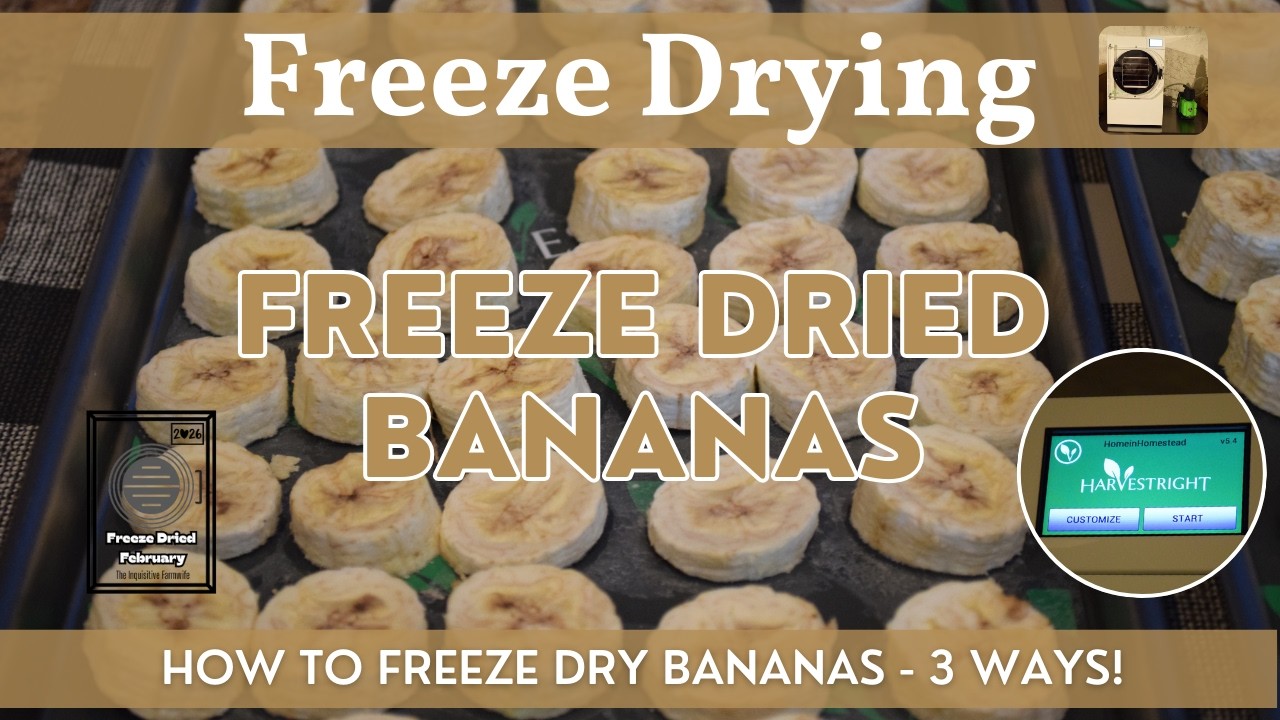 Freeze Dried Bananas (3 Ways) | Freeze Dried February | Harvest Right Freeze Dryer Use Step by Step