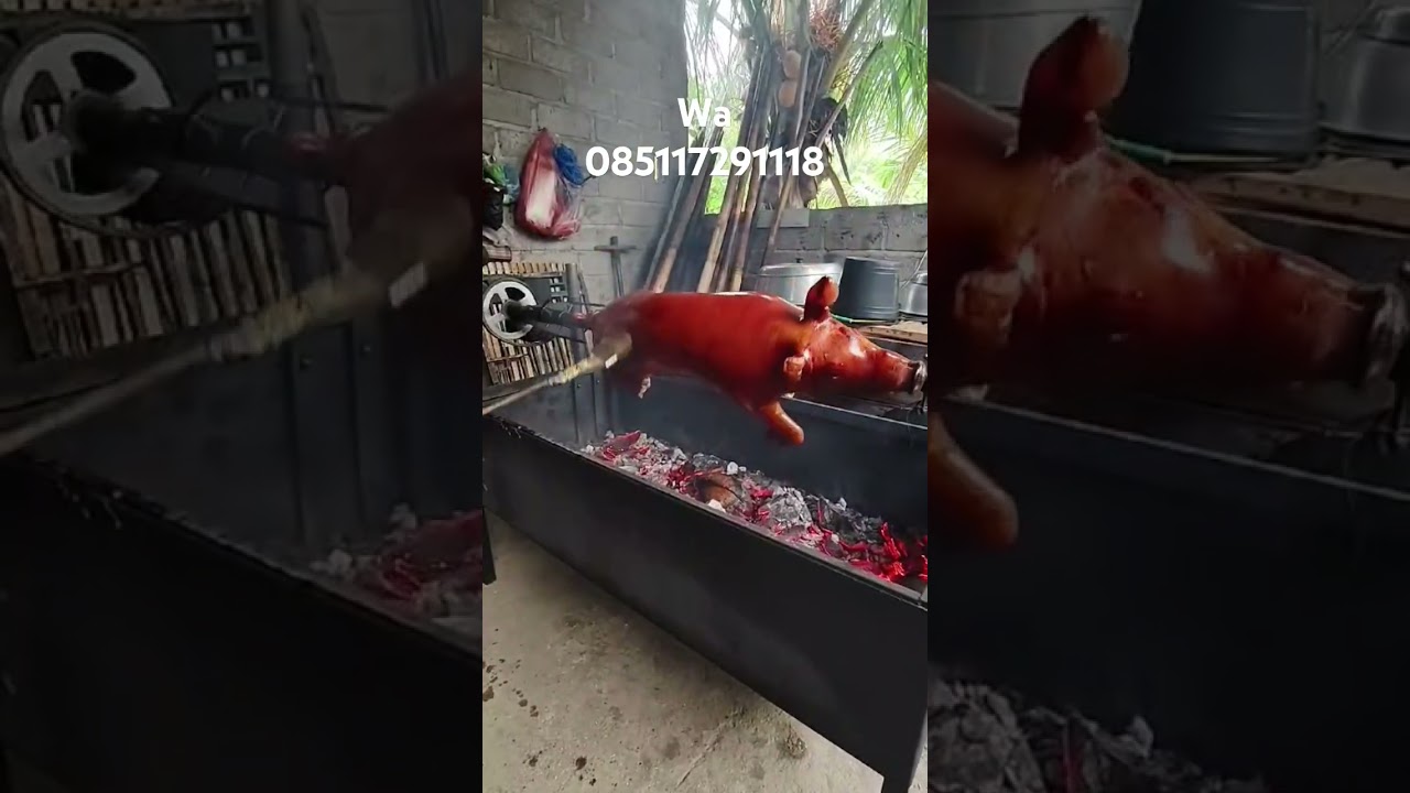 mesin guling otomatis  untuk kambing atau babi berat 35kg