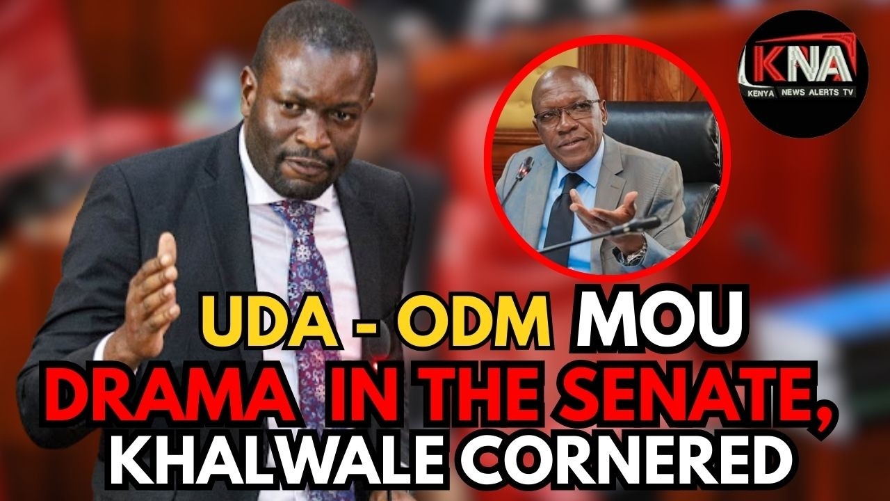 TENSION IN THE SENATE: SIFUNA AND KHALWALE CLASH BADLY OVER THE MOU BETWEEN ODM AND UDA.